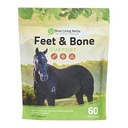 12 Feet and Bone Support Herbal Formula for Horses  Silver Lining Herbs